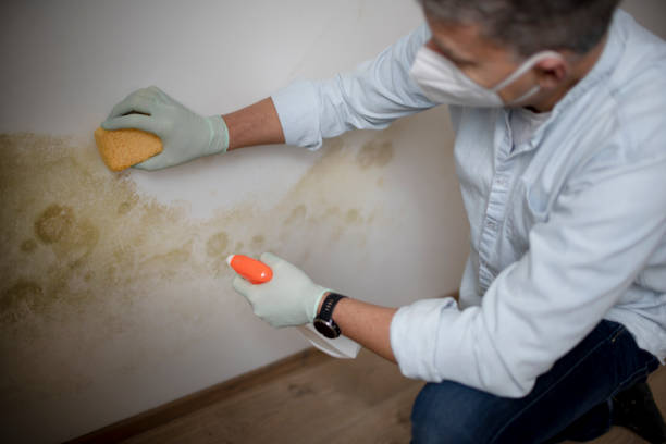 Best Mold Testing  in Pinebluff, NC