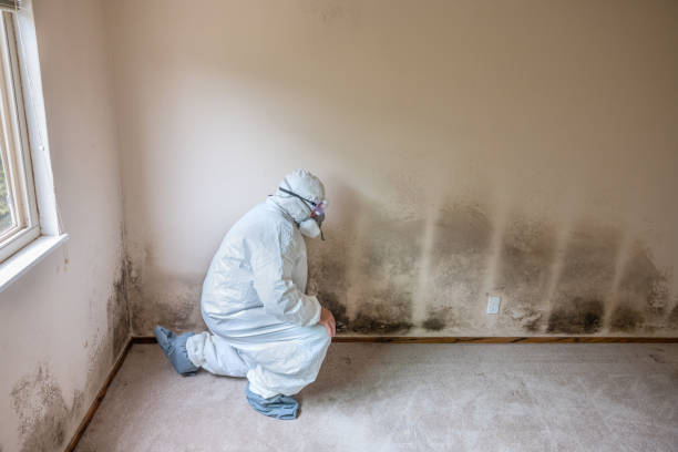 Best Mold Inspection  in Pinebluff, NC